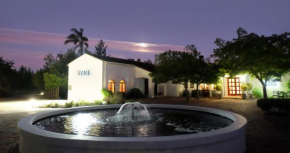 Гостиница Vine Guesthouse  Штелленбош